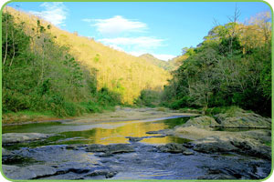 Thenmala, Kollam