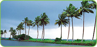 Alappuzha Beach, Alleppey