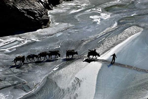 Ladakh Ancient Routes
