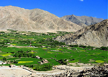 Ladakh, Ladakh Review