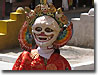 Ladakh Festivals