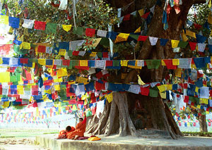 Lumbini Nepal