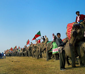 Elephant Festival Assam