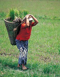 Mizo Women