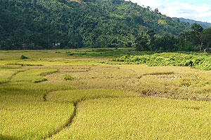 Tezpur Assam