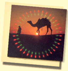 Le Kamel et chef dans le dsert DE Rajasthan avec le plus coucher tu soleil! 