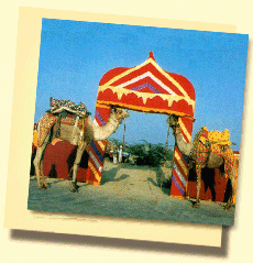 Qui itinraire principal de notre installation de tente dans les Jaisalmer, Rajasthan! 