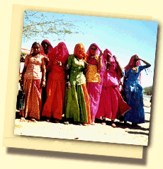 Rajasthani femmes dans un groupe dans un village  proximit des Bikaner! 