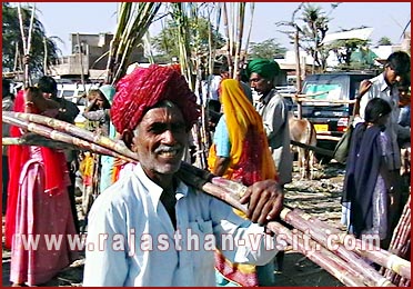 Farmer of Rajasthan