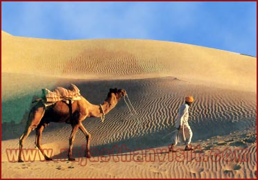 The sand dunes-Jaisalmer