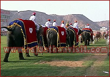 Elephant Festival in Jaipur, Rajasthan