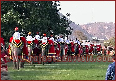 Elephant Festival in Jaipur, Rajasthan