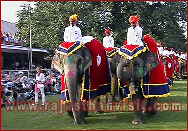 Elephant Festival in Jaipur, Rajasthan