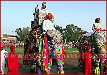 Elephant Festival in Jaipur, Rajasthan