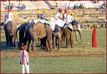 Elephant Polo in Rajasthan