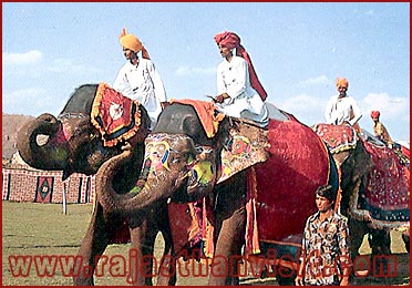 Elephant Festival in Jaipur, Rajasthan