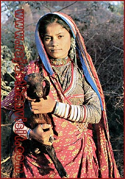 Rabari girl