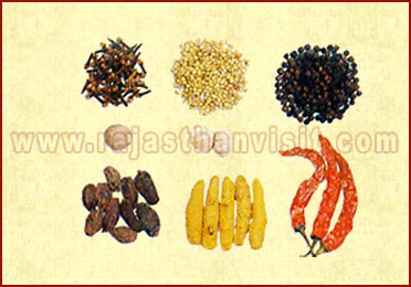 Spices of Rajasthan