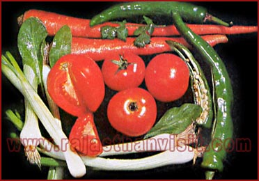 Salad Vegetables of Rajasthan