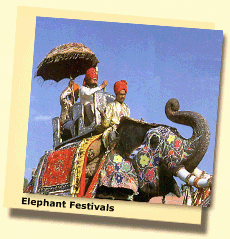 Elephant Festival, Jaipur, Rajasthan