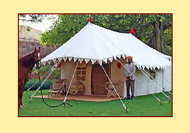 Luxury Tent, Shikaar