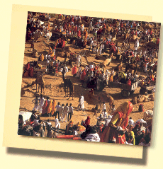5 dias Pushkar e excursão de Udaipur