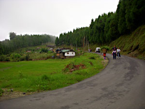 Damthang Trekking