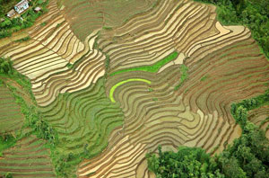 Aerial shot taken from Sikkim Helicopter service 