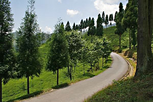 Namchi Sikkim