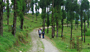 Sikkim Trekking