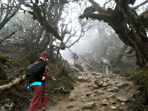 Sikkim Trekking