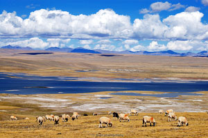 Nagqu Tibet