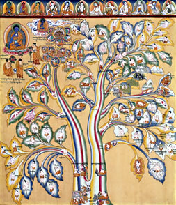 Tibetan Medicine System