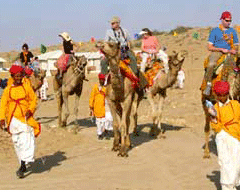 Camel Safari, Camel Safari in Rajasthan