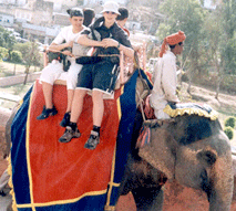 Elephant Safari, Elephant Safari in Rajasthan